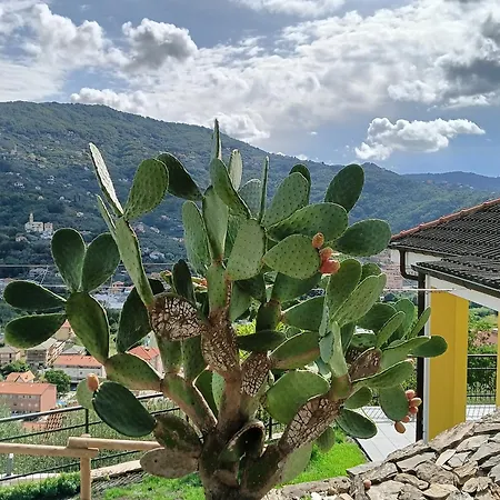 Le Drupe Ferienhaus