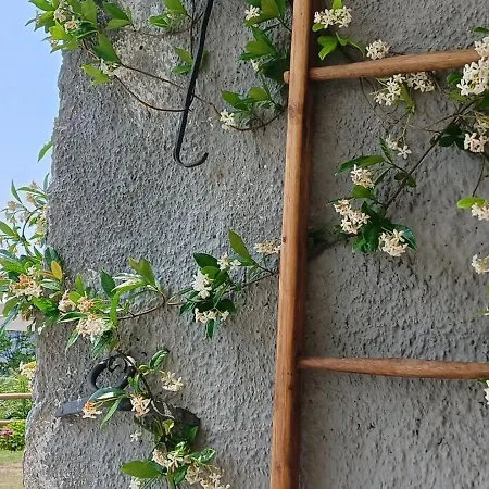 Ferienhaus Le Drupe *