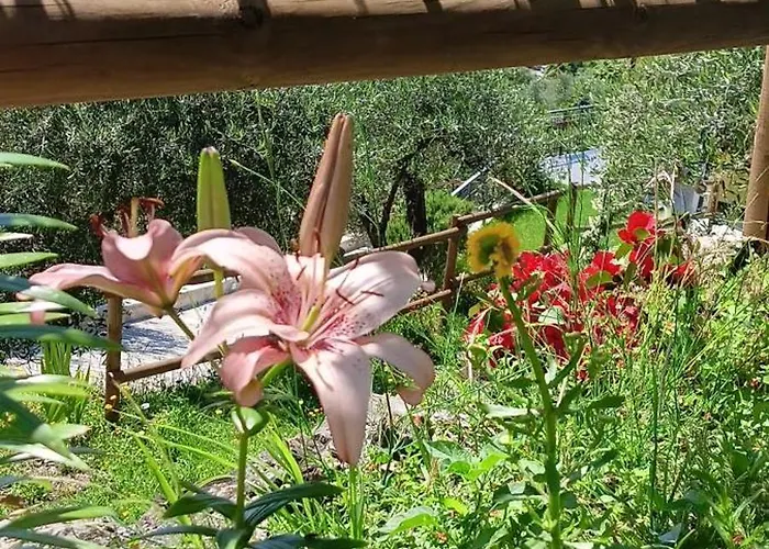 Le Drupe Nyaraló Chiavari