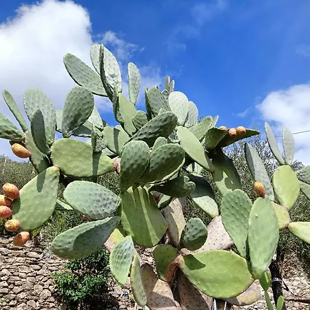 Le Drupe Vakantiehuis Chiavari