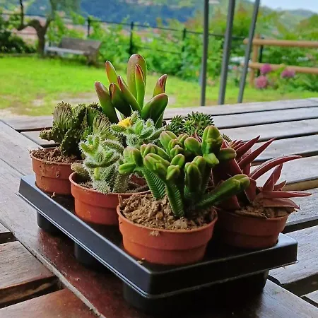 Vakantiehuis Le Drupe Chiavari