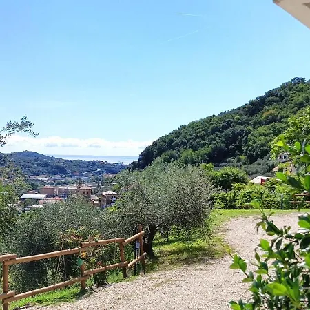 Le Drupe Chiavari