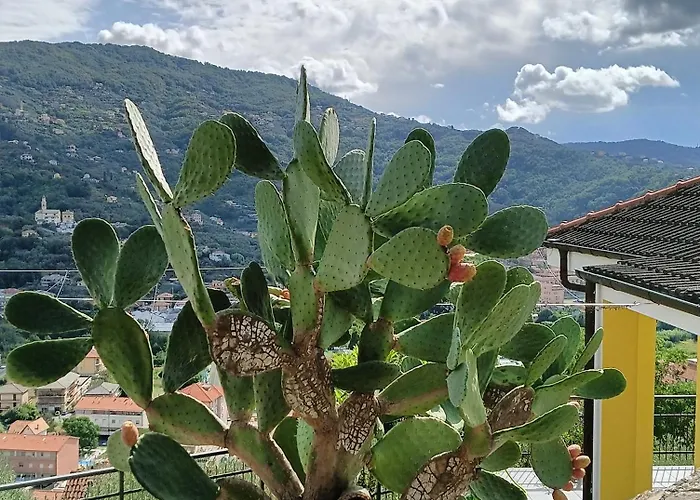 Le Drupe Σπίτι διακοπών