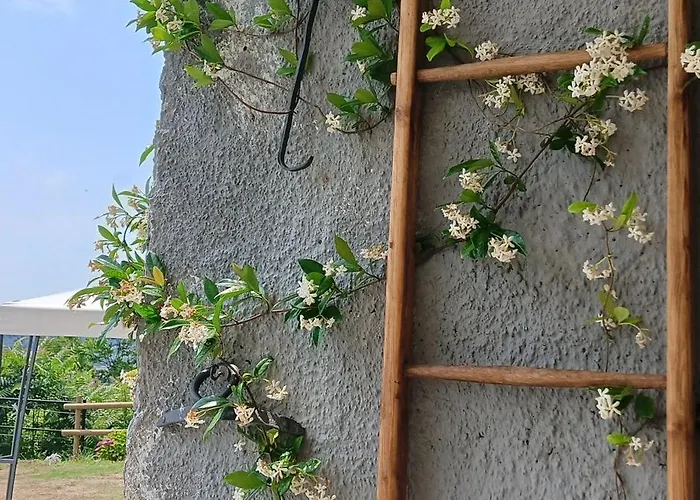 Сasa de vacaciones Le Drupe *